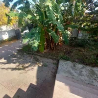 اجاره ویلا با ۱۷۰متربنا  /کد۴۳۰۳(سالار)|اجارهٔ خانه و ویلا|نوشهر, |دیوار