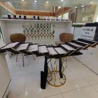 چمدان 80 و 60 تایی عینک|کیف، کفش، کمربند|اصفهان, ملاصدرا|دیوار