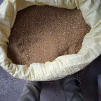 تخم یونجه
