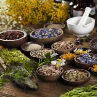 آموزش دوره مقدماتی طب سنتی تا و... به صورت