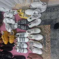 کفش نو|کیف، کفش، کمربند|دورود, |دیوار