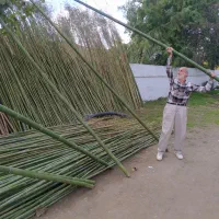 لوله خیزران کلی و جزیی|خدمات باغبانی و درختکاری|رشت, حومه رشت|دیوار