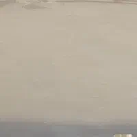 کبوتر|حیوانات|تهران, پرستار|دیوار