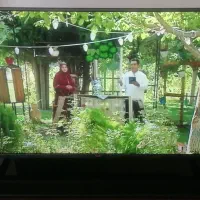 تلویزیون 49 الجی