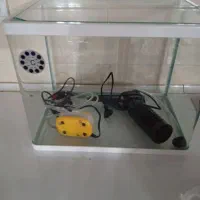 اکواریوم|ماهی|ایلام, |دیوار