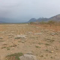 زمین فروشی مخصوص  باغ 6000متر