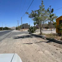 زمین ۲۵۰ متری در شهرک ولیعصر|فروش زمین و ملک کلنگی|تربتحیدریه, شهرک ولیعصر|دیوار