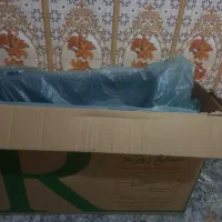 رودی پراید مدل بالا