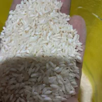 فروش انواع برنج عنبربو درجه یک|خوردنی و آشامیدنی|مشهد, بهشت|دیوار