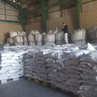 تغذیه گیاه