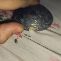 سنگ طلا