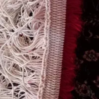 فرش هریس تاجری|فرش|قرچک, زیبا شهر|دیوار