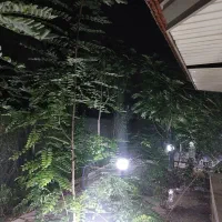 دعوت به شراکت در باغ رستوران آماده بهرهبرداری