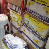 کارتن موزی و فوم پلی اتیلن