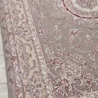 یک عدد۱۲متری گردویی سالم