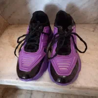 کتونی|کیف، کفش، کمربند|الوند, |دیوار