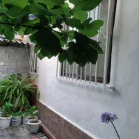 خانه-ویلایی-حیاط-دار