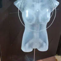 بدلیجات