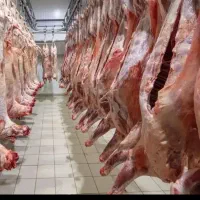 گوسفند خونی