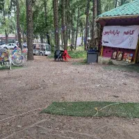 باریستا