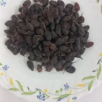 فروش کشمش درجه یک