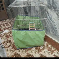 قفس پرنده