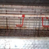 قفسه بزرگ بلدرچین|لوازم جانبی حیوانات|نکا, |دیوار