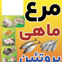 استخدام مرغ خورد کن  با جای خواب