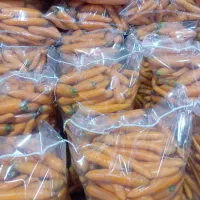 فروش هویچ و ترب با کیفیت ،تنی|خوردنی و آشامیدنی|ممقان, |دیوار