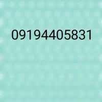 خط 919