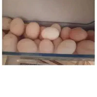 تخم مرغ محلی تازه سالم زرده نارنجی|خوردنی و آشامیدنی|مشهد, الهیه|دیوار