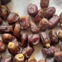 فروش خرمای سعمران درجه دو