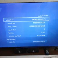تلویزیون اسنوا 65