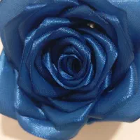 گل شاخه 25هزار