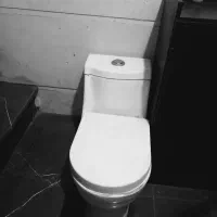 توالت فرنگی