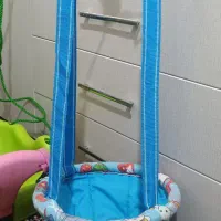 تاب شورتی