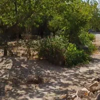 ویلا ۱۰۰۰ متری رودهن خیابان اباصالح (کلاهک)|فروش خانه و ویلا|رودهن, |دیوار