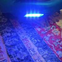 اسکوتر برقی|دوچرخه، اسکیت، اسکوتر|سراوان, |دیوار