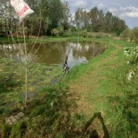 زمین-کشاورزی-استخر-ماهی