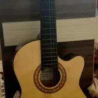 گیتار همراه با کاور