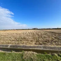 فروش-شالیزاری-طرح-ژاپن-3000-متری-در-کیاکلا