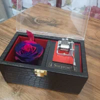 رز جاودان و باکس موزیکال|گل و گیاه طبیعی|تهران, افسریه جنوبی|دیوار