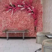 جذب تمامی لاین های زیبایی