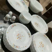 سرویس پارس اوپال