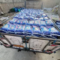 برف لوکس|مواد شوینده و دستمال کاغذی|زاهدان, |دیوار