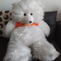 خرس بزرگ