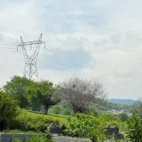 روبروی جنگل ویلاتو بساز/با سند تکبرگ