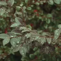 لوازم کافه به فروش یرسد