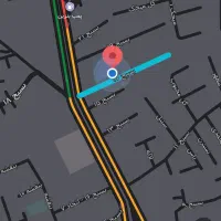 سگ سفید پاکوتاه دیده شده