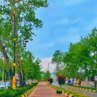 252متر زمین 270متر جواز /نوشهر بلوار کریمی/ترنج